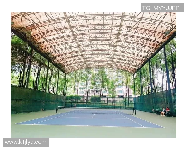 重庆网球队转型之路揭秘：从传统到现代的华丽蜕变与挑战